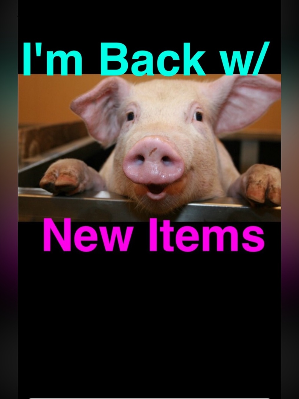 🐷Ape’s Closet🐷